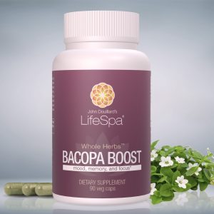 Bacopa Boost Capsules