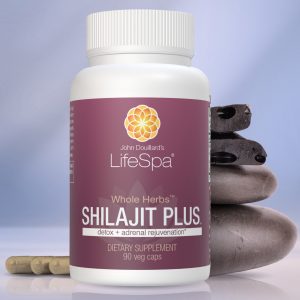 Shilajit Plus Capsules